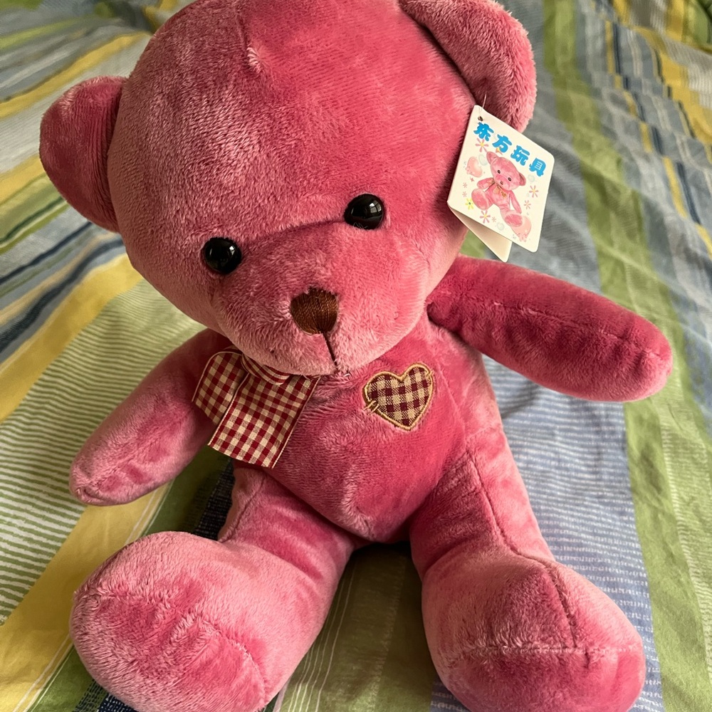 Pink Plush Teddy Bear